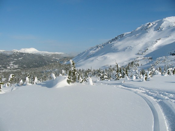 576x432 pixels (53K)